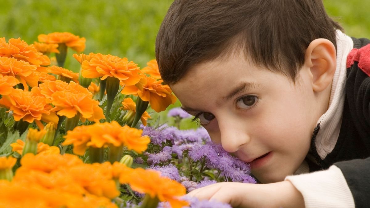 A boy leaning on flowers