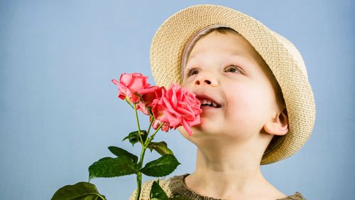 200 Floral Names for Boys in Bloom