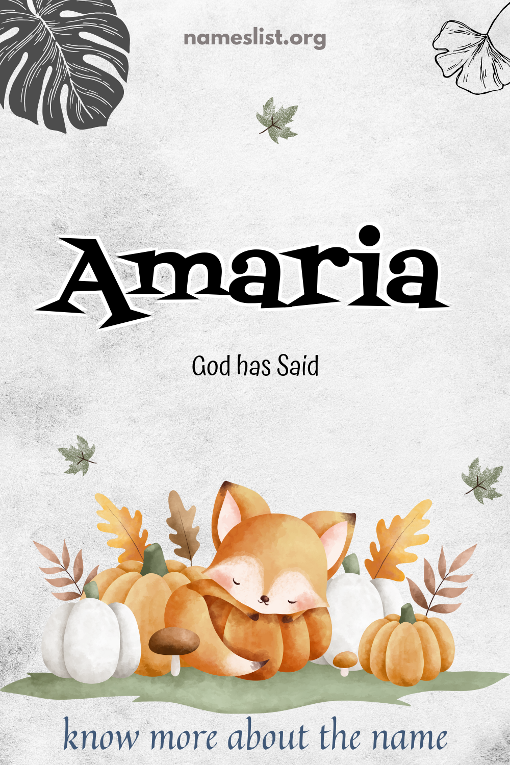 Amaria meaning and origin