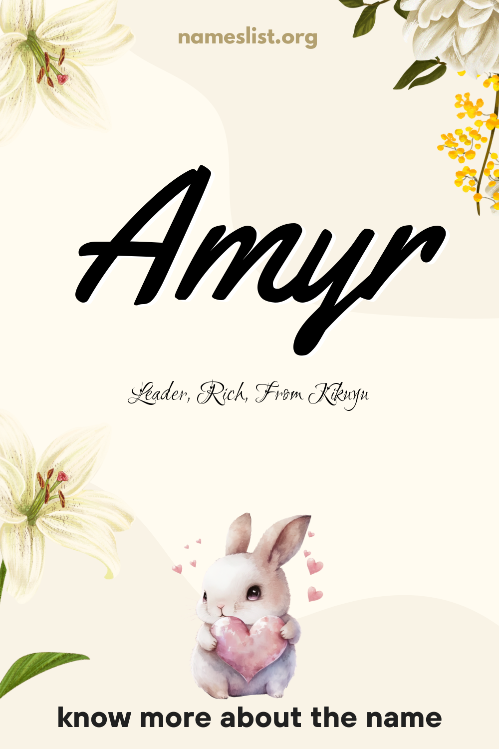 Amyr meaning and origin