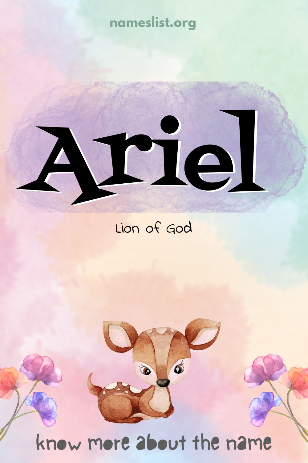 Ariel meaning and origin