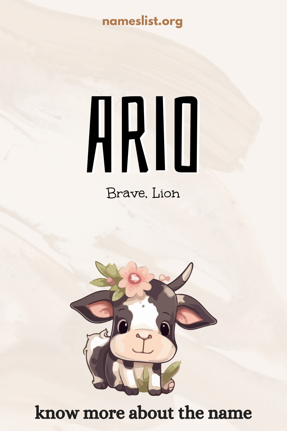 Ario meaning and origin