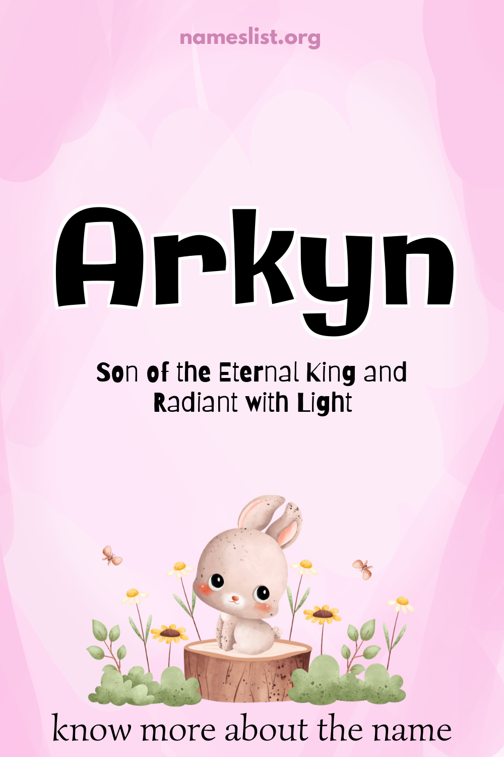 Arkyn meaning and origin