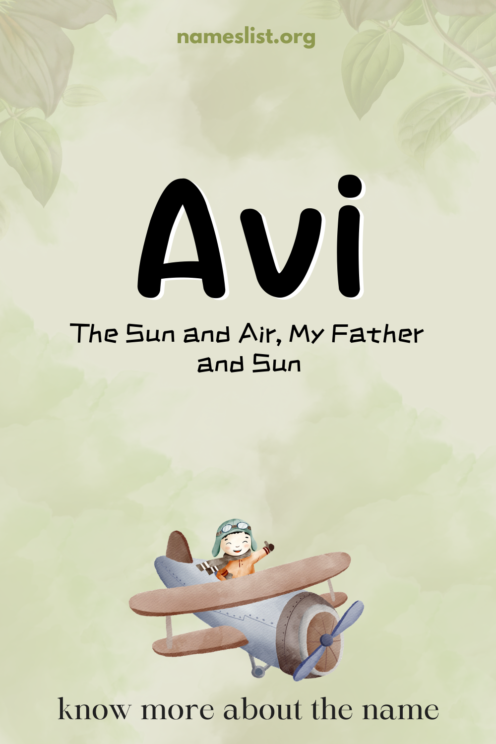 Avi meaning and origin