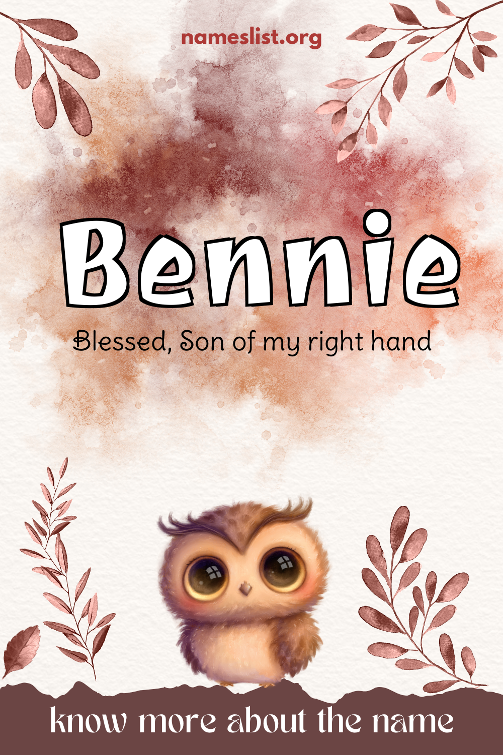 Bennie meaning and origin