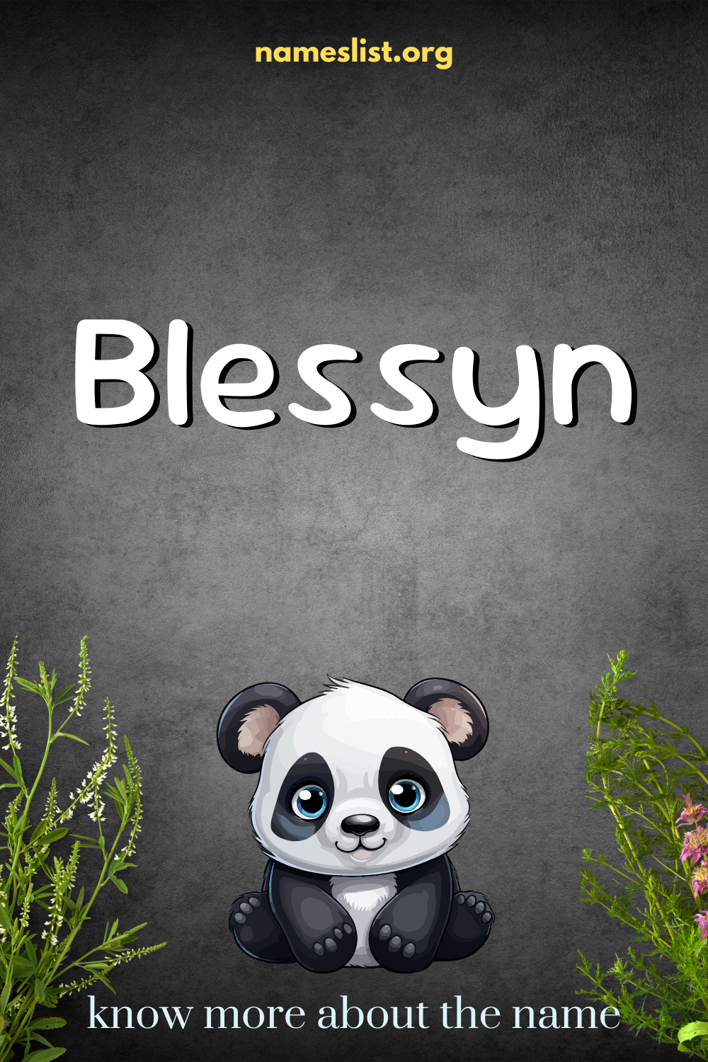 Blessyn meaning and origin