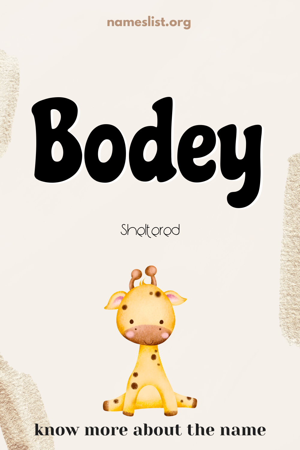 Bodey meaning and origin
