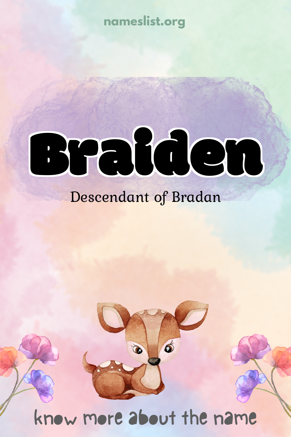 Braiden meaning and origin