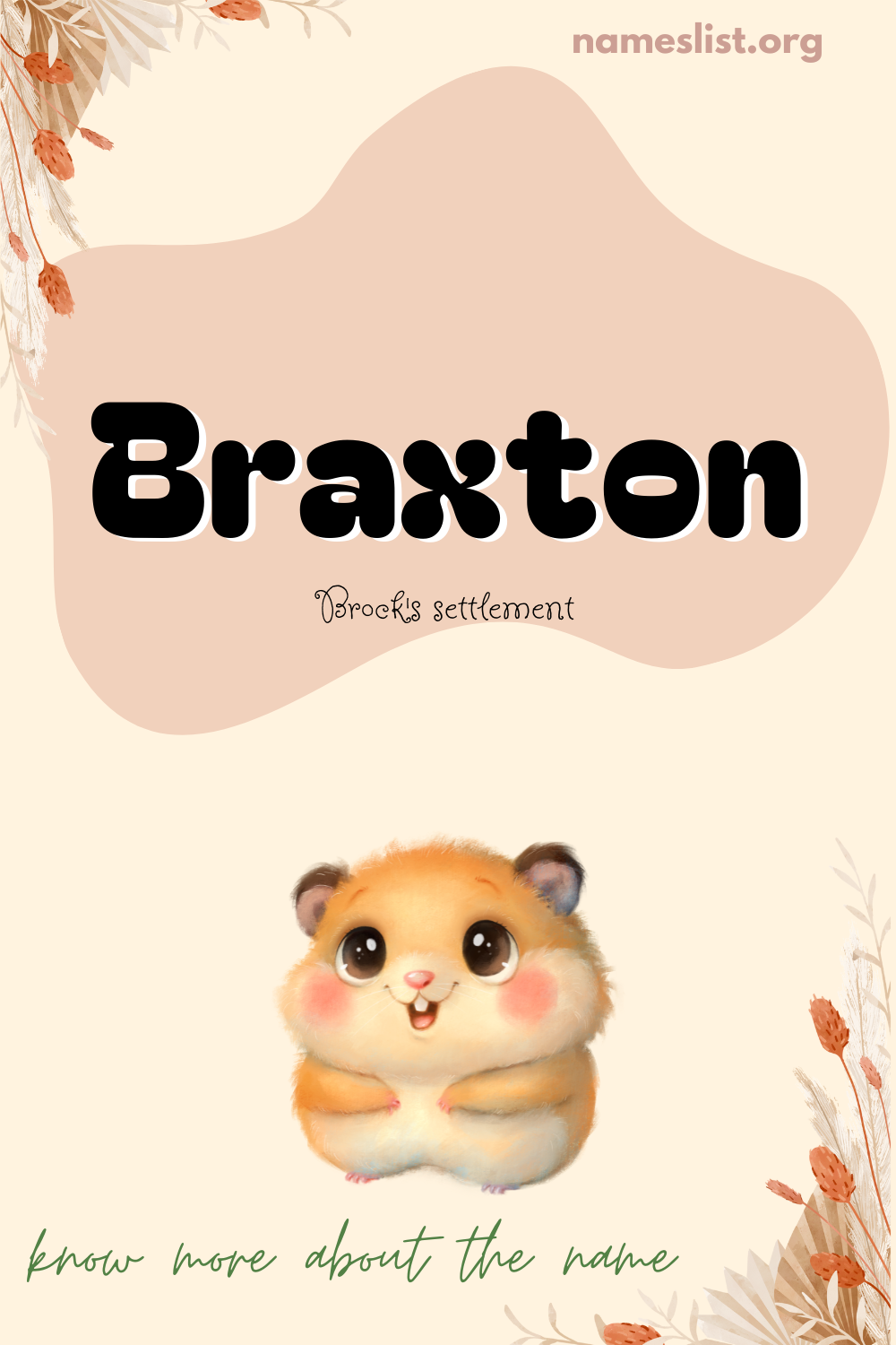 Braxton meaning and origin