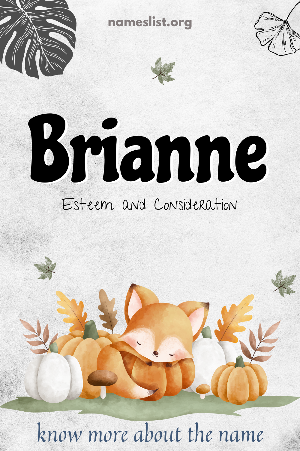 Brianne meaning and origin
