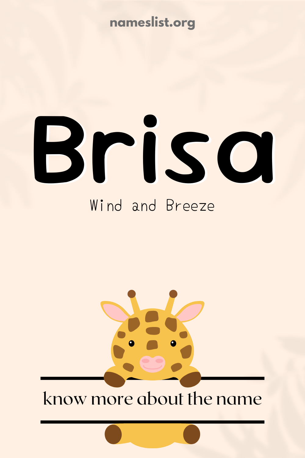 Brisa meaning and origin