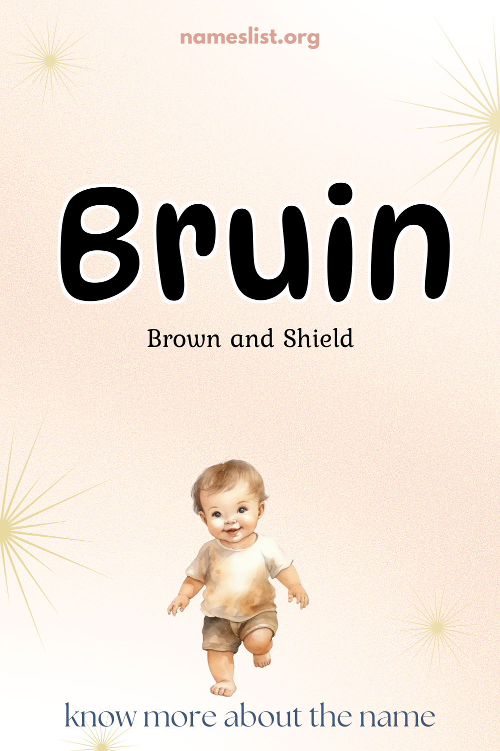 Bruin meaning and origin