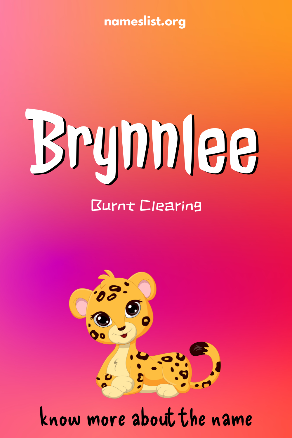 Brynnlee meaning and origin