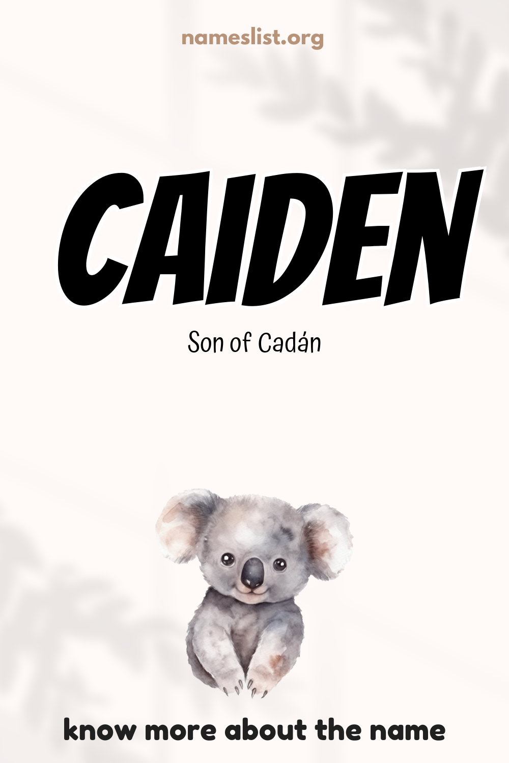 Caiden meaning and origin