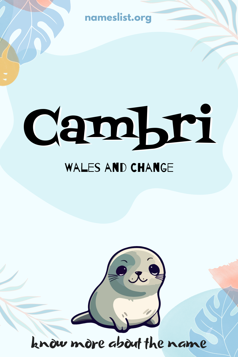 Cambri meaning and origin