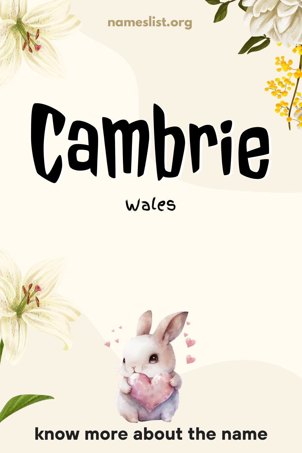 Cambrie meaning and origin