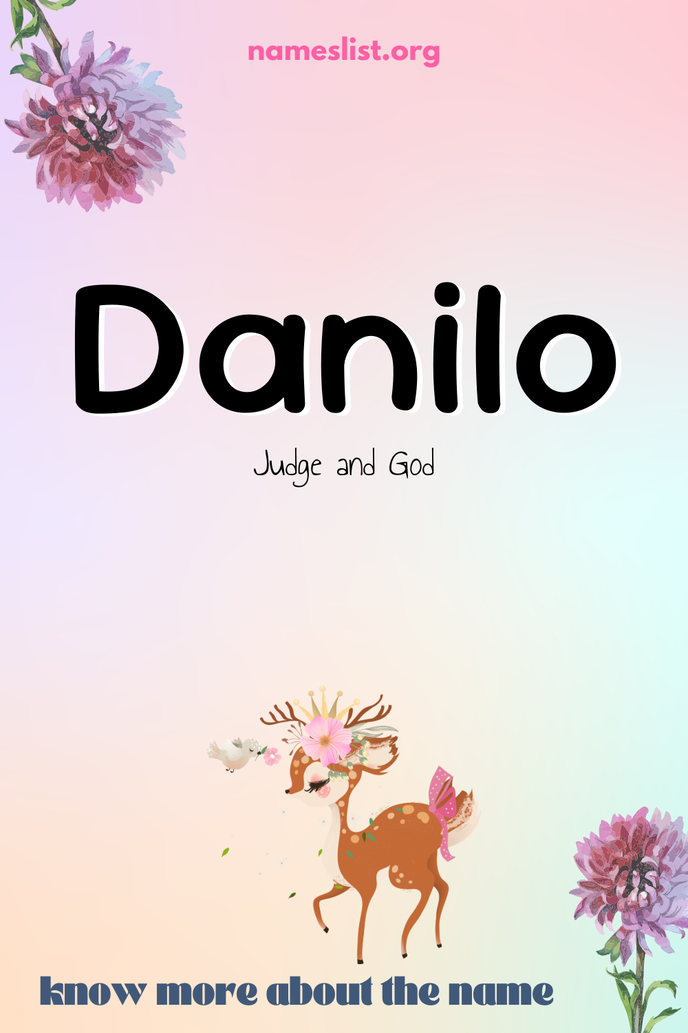 Danilo meaning and origin