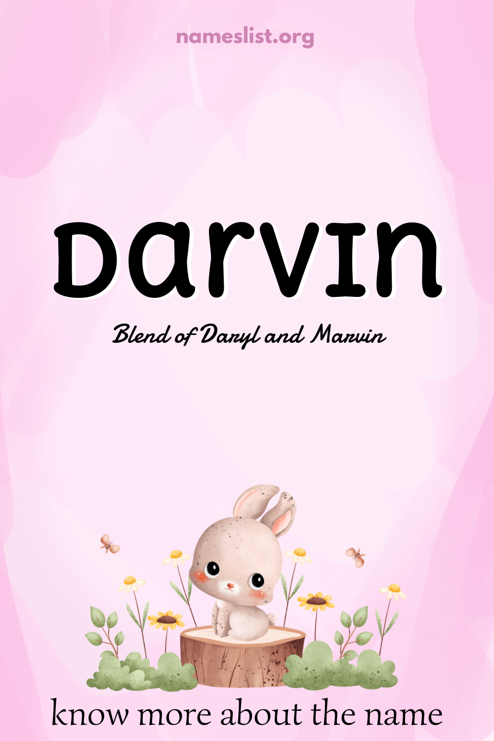 Darvin meaning and origin