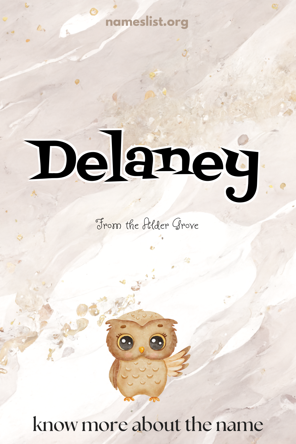 Delaney meaning and origin