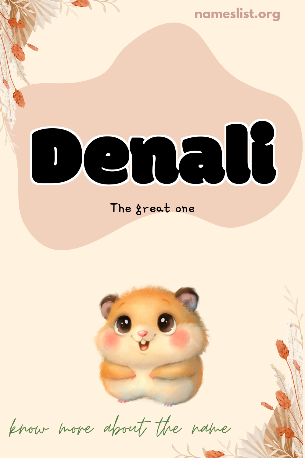Denali meaning and origin