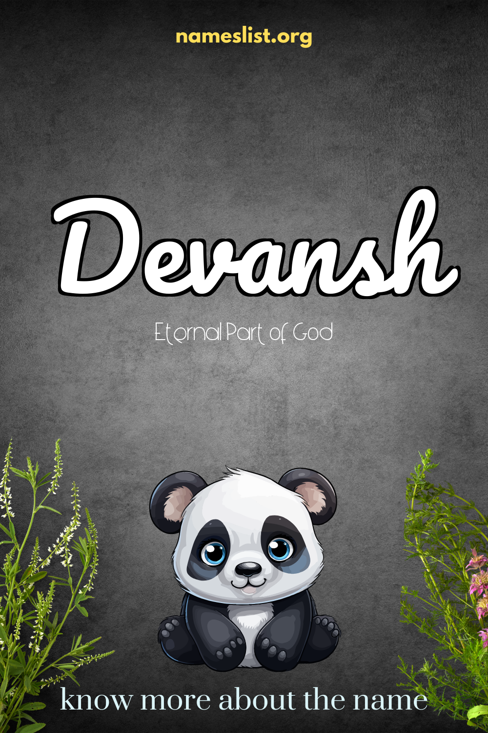 Devansh meaning and origin