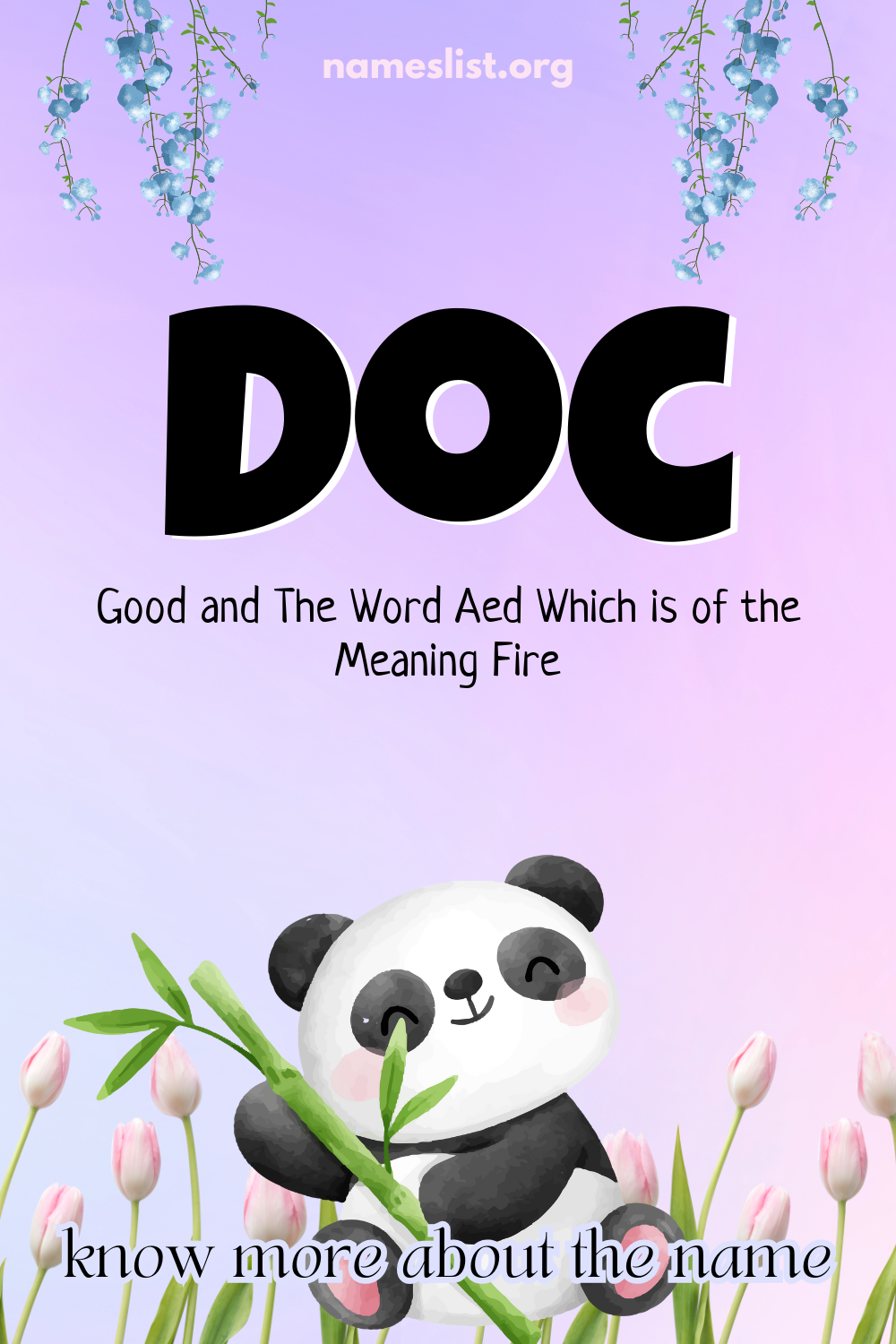 Doc meaning and origin