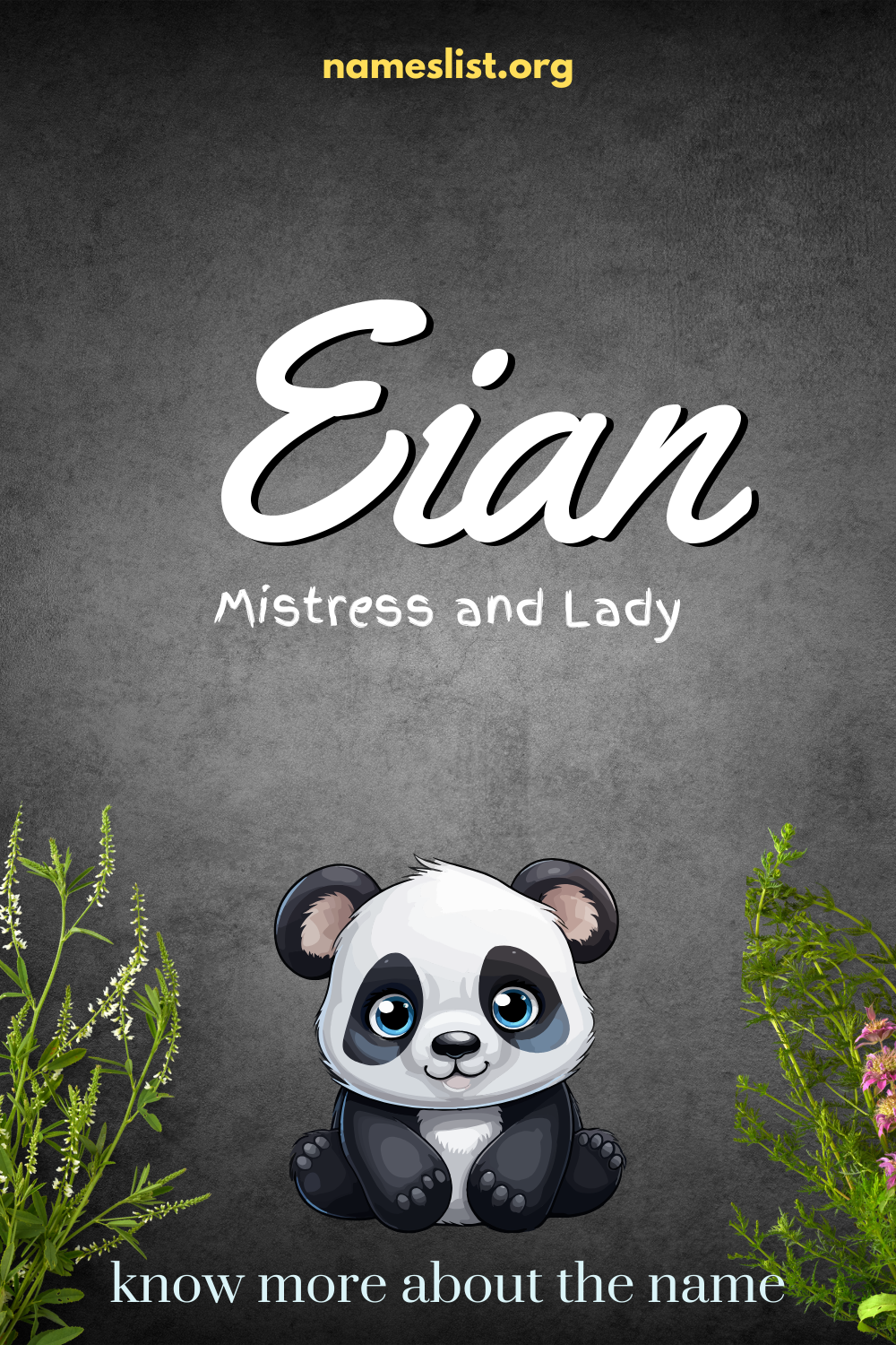 Eian meaning and origin