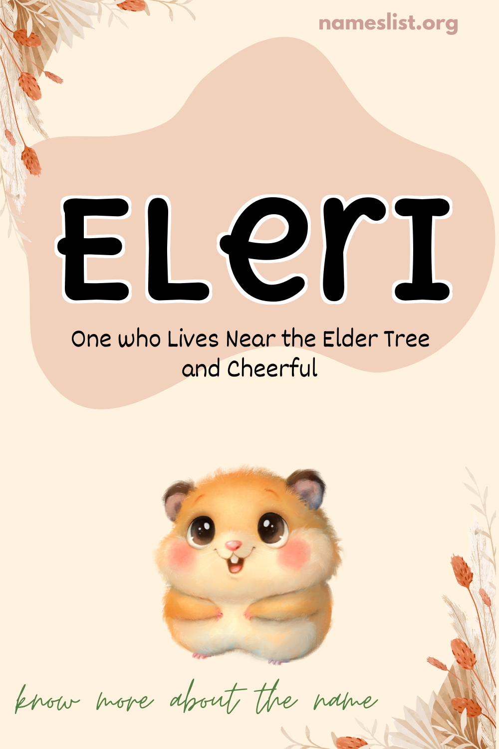 Eleri meaning and origin