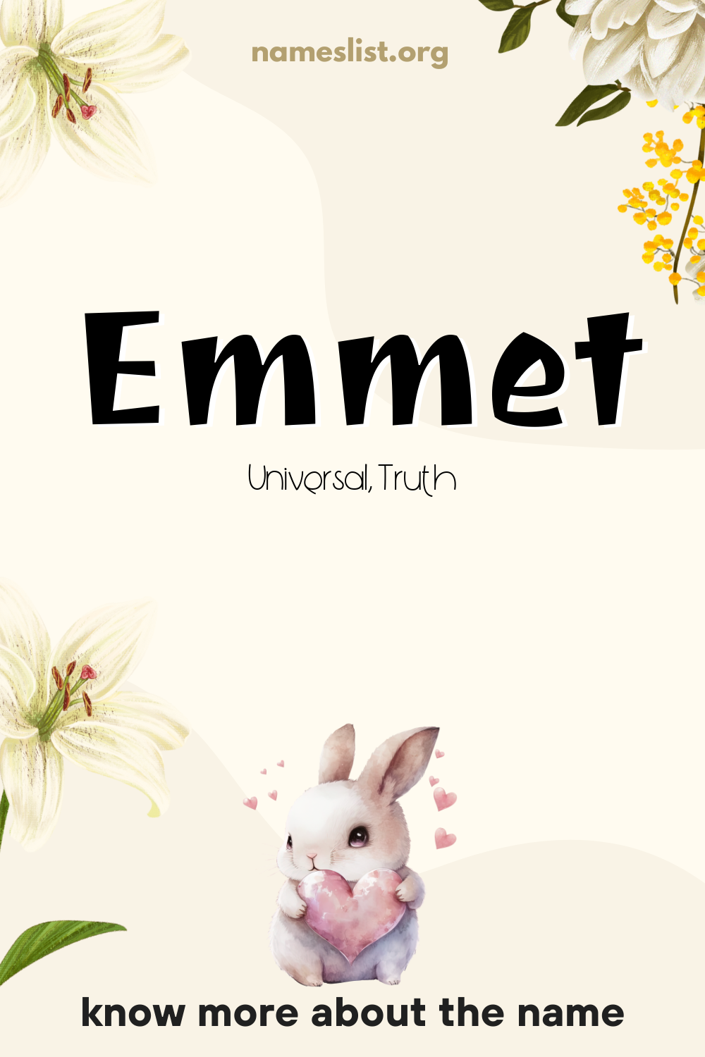 Emmet meaning and origin