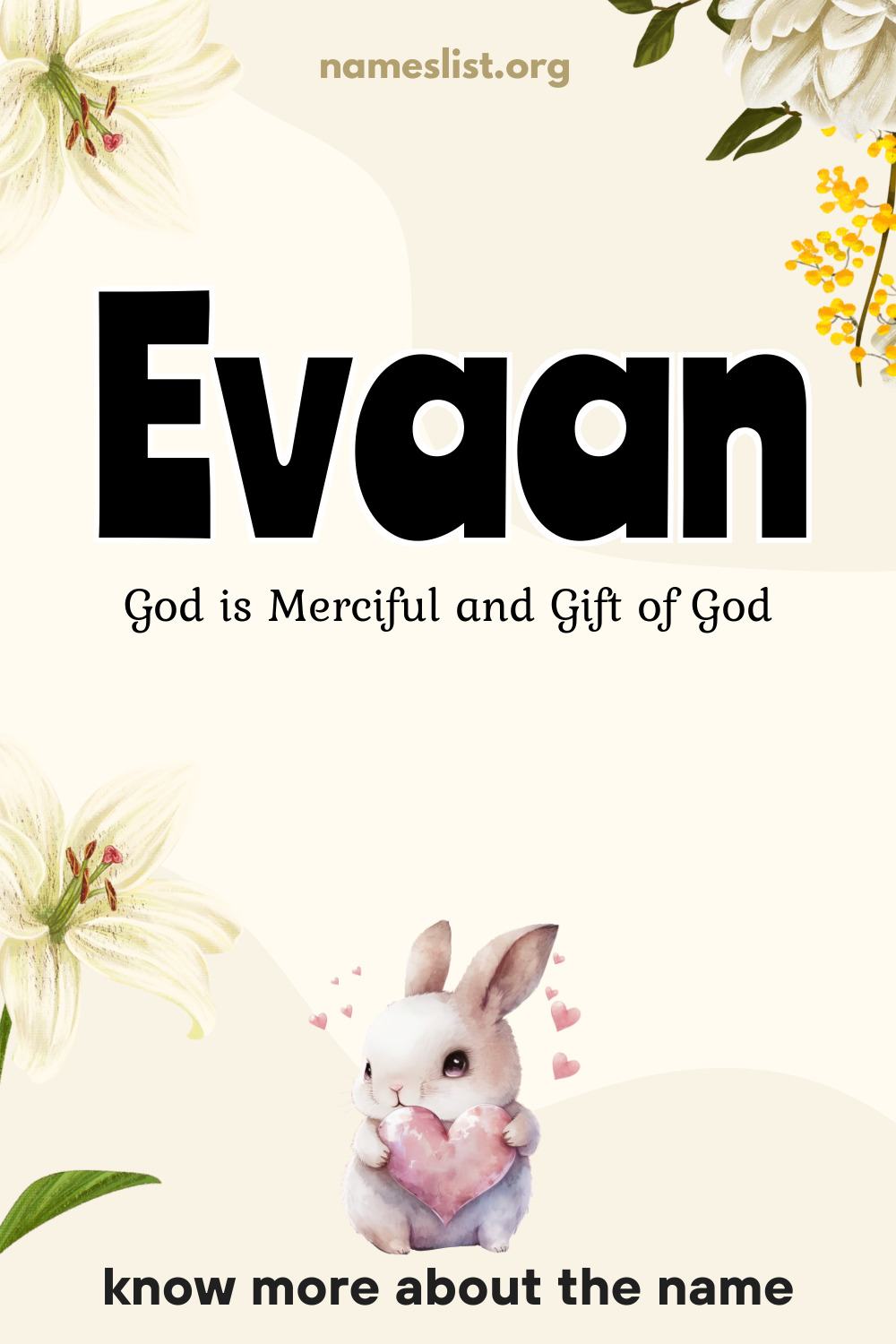 Evaan meaning and origin