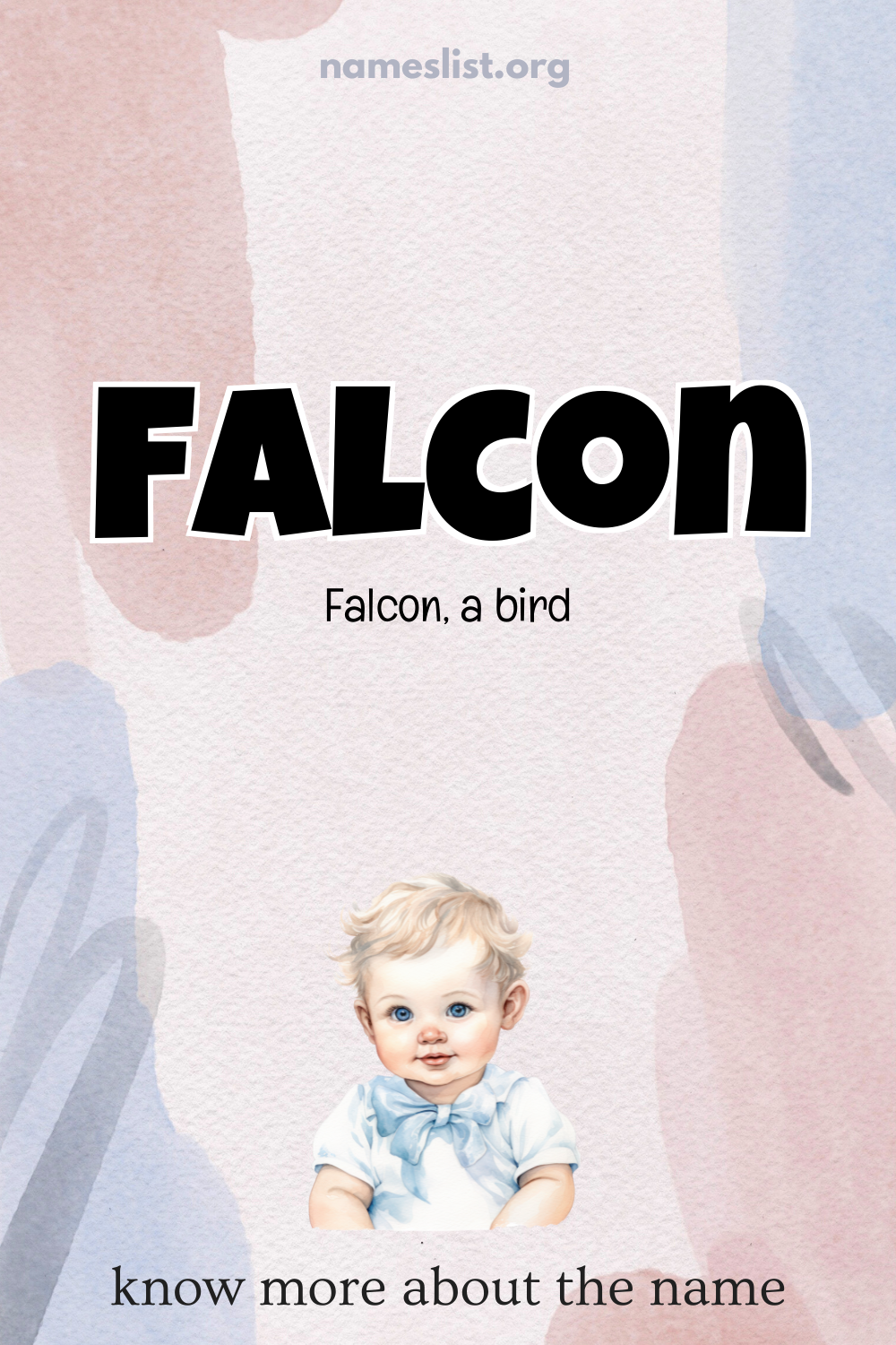 Falcon meaning and origin