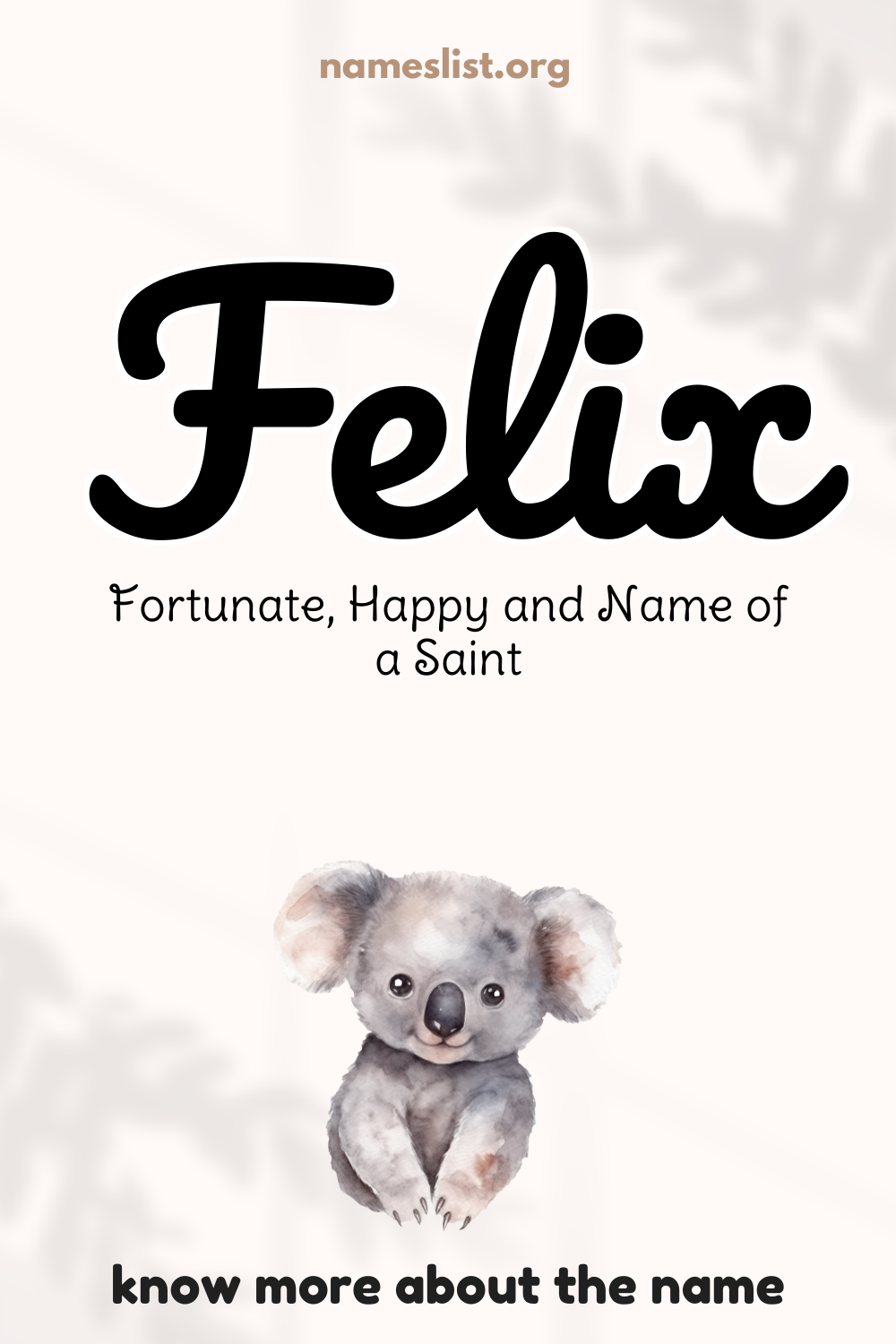 Felix meaning and origin