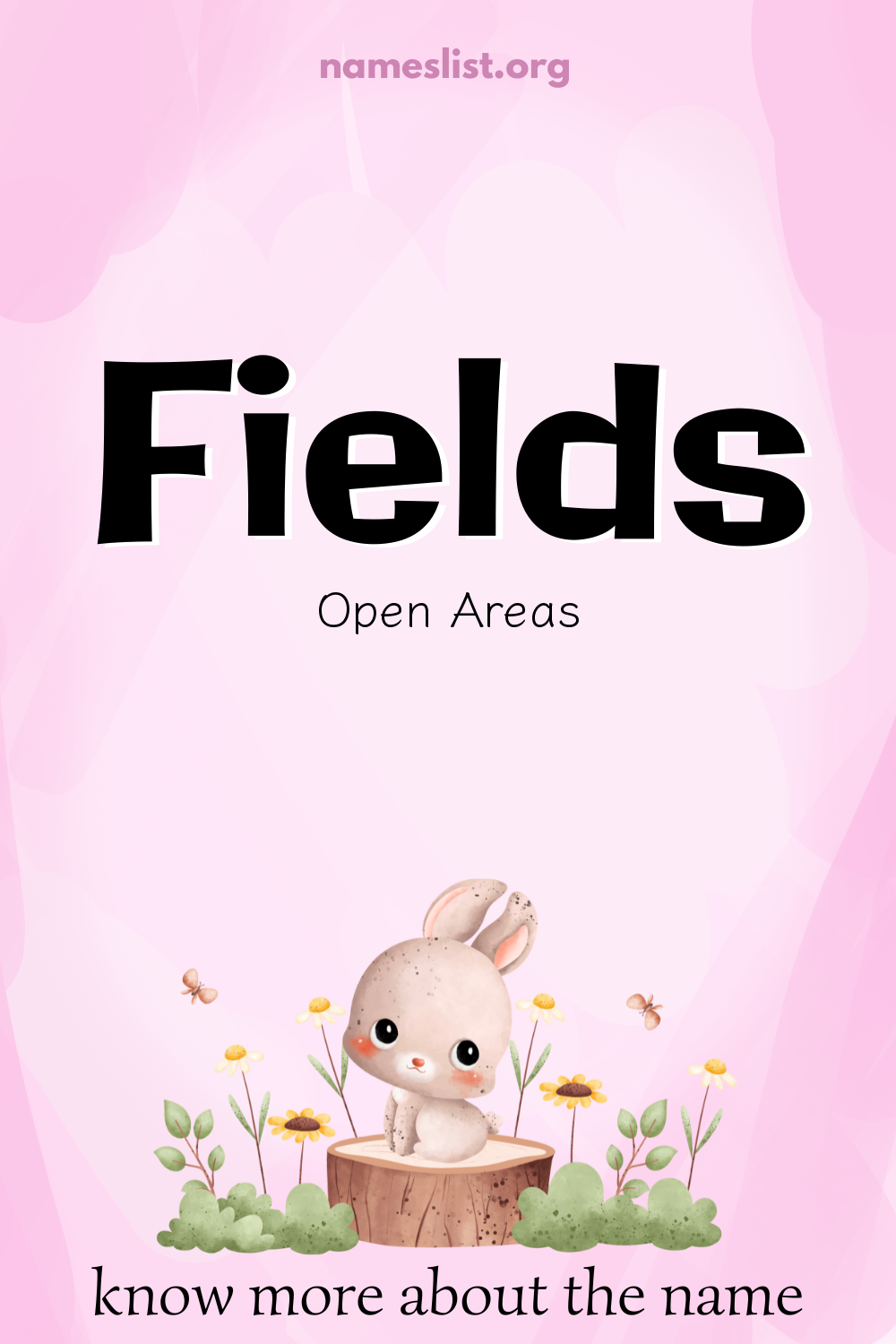 Fields meaning and origin
