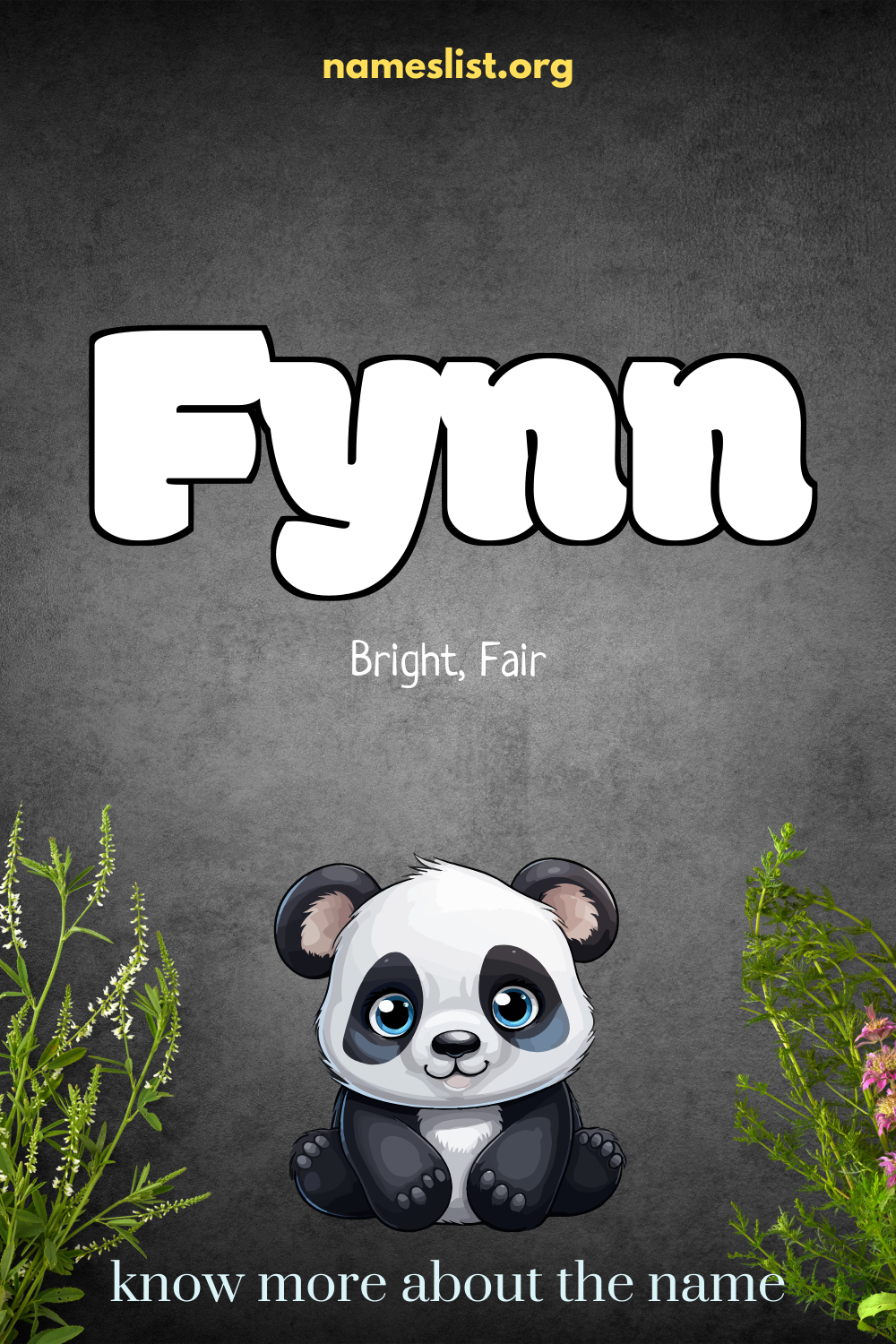 Fynn meaning and origin