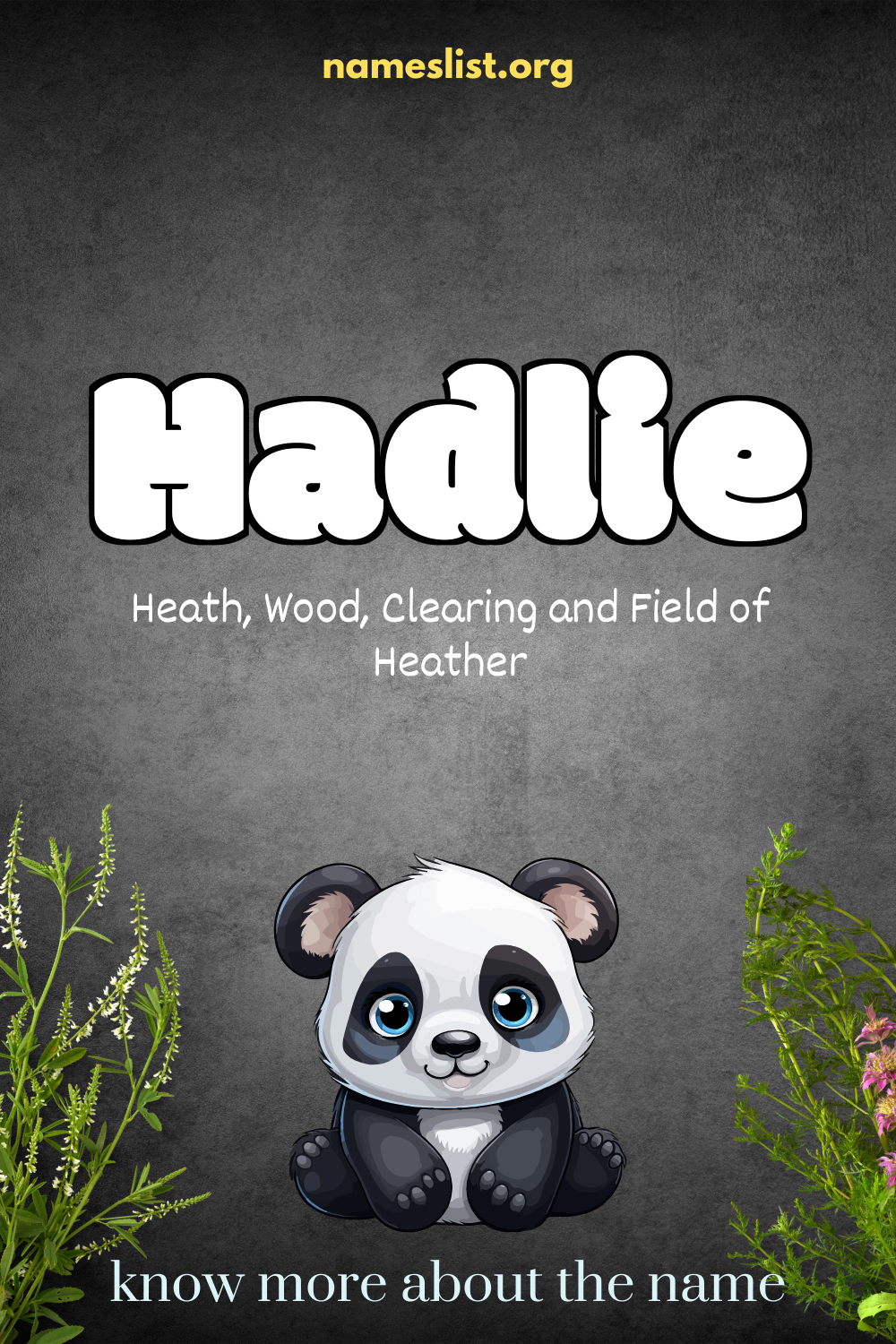 Hadlie meaning and origin