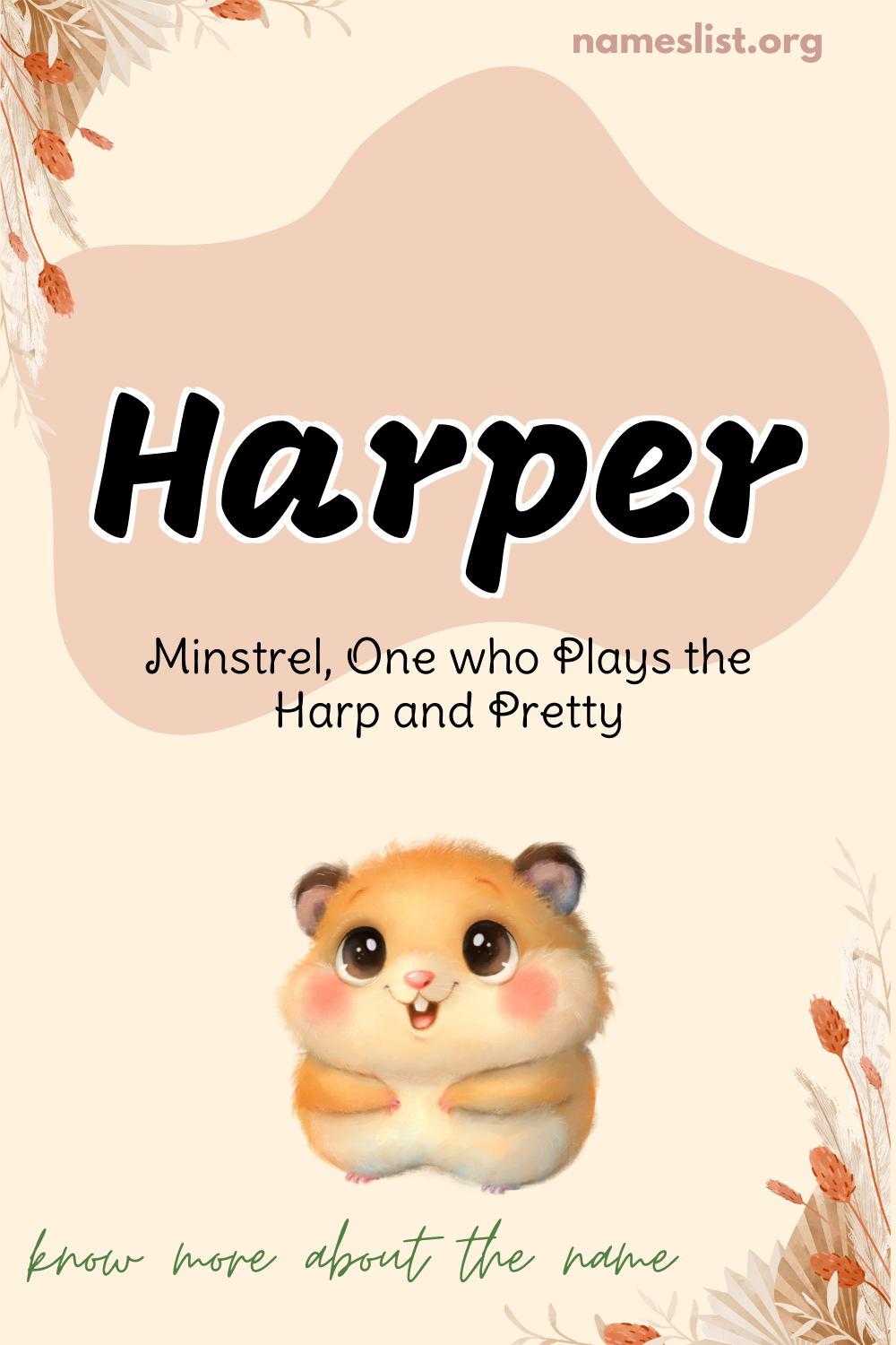 Harper meaning and origin