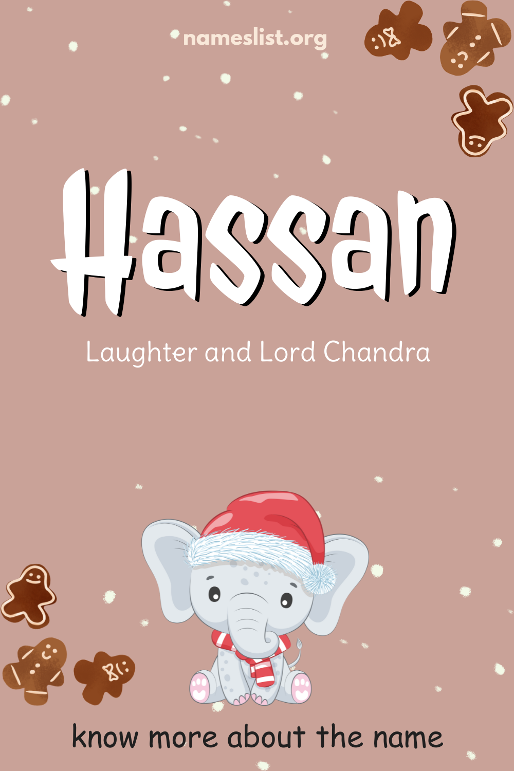Hassan meaning and origin