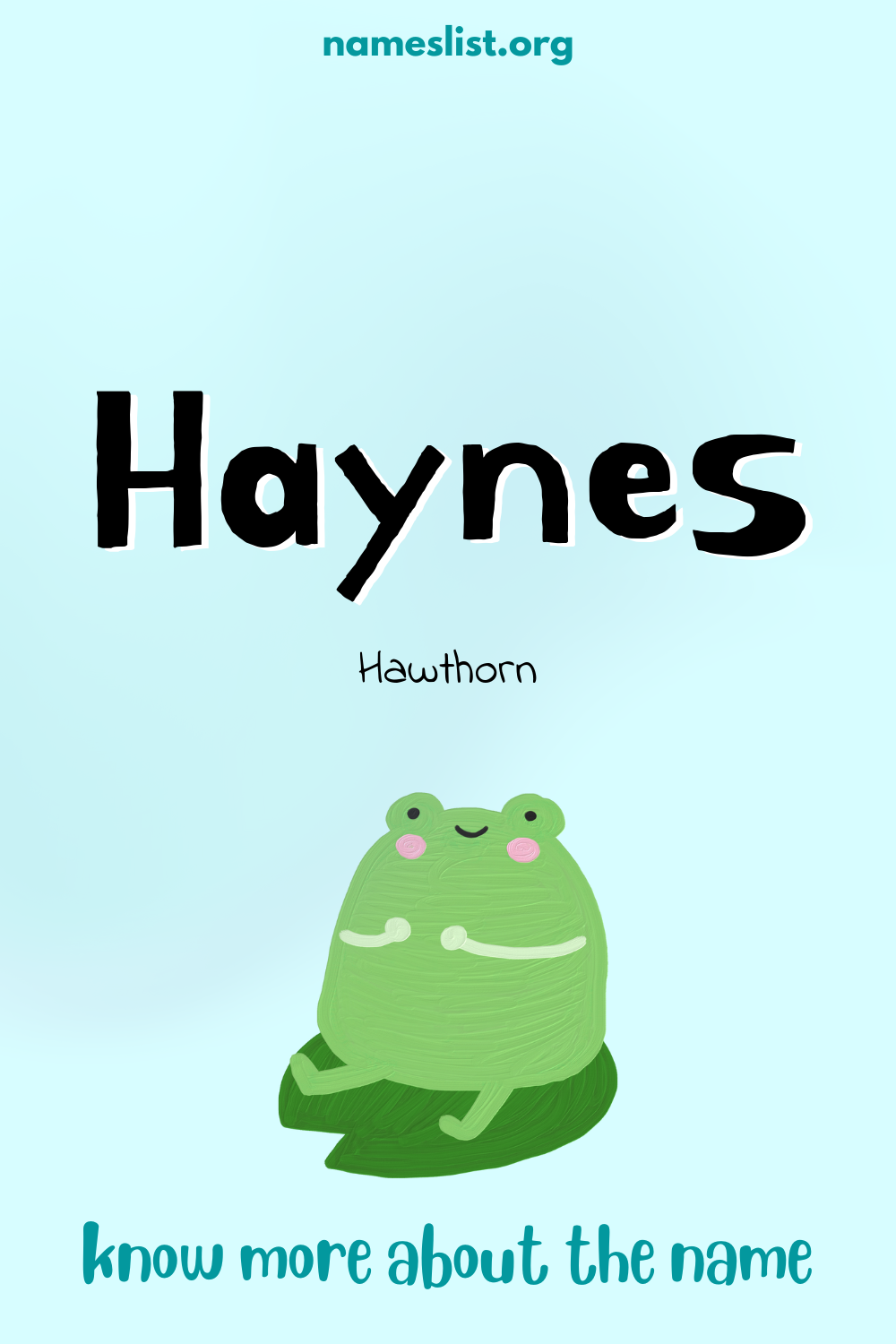 Haynes meaning and origin