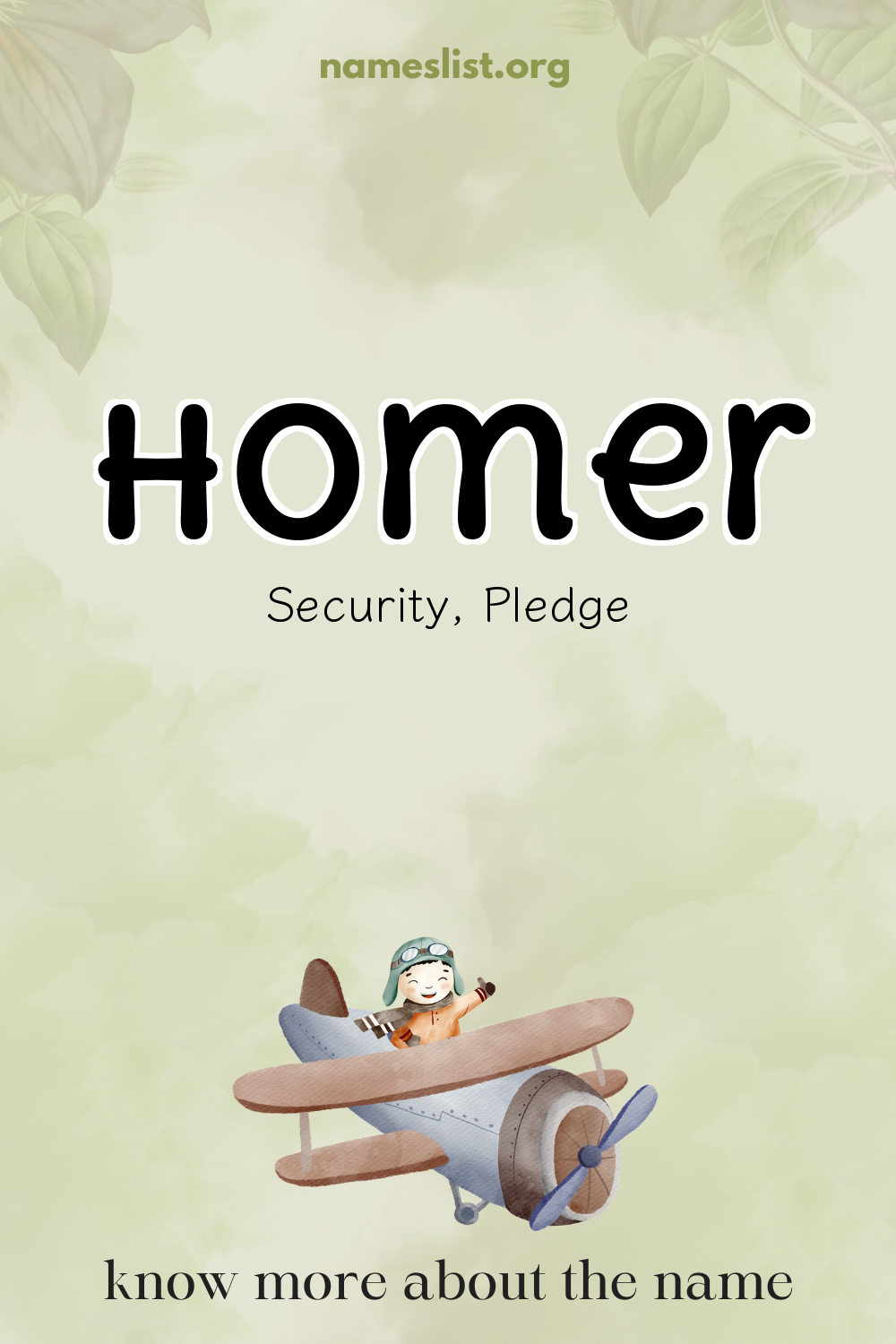 Homer meaning and origin
