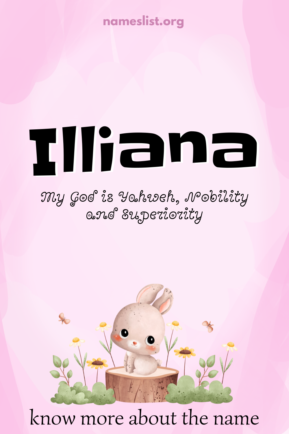 Illiana meaning and origin