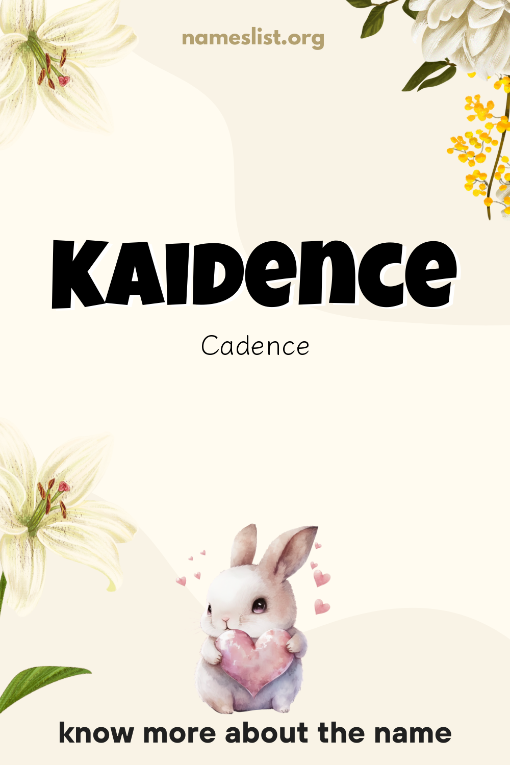 Kaidence meaning and origin
