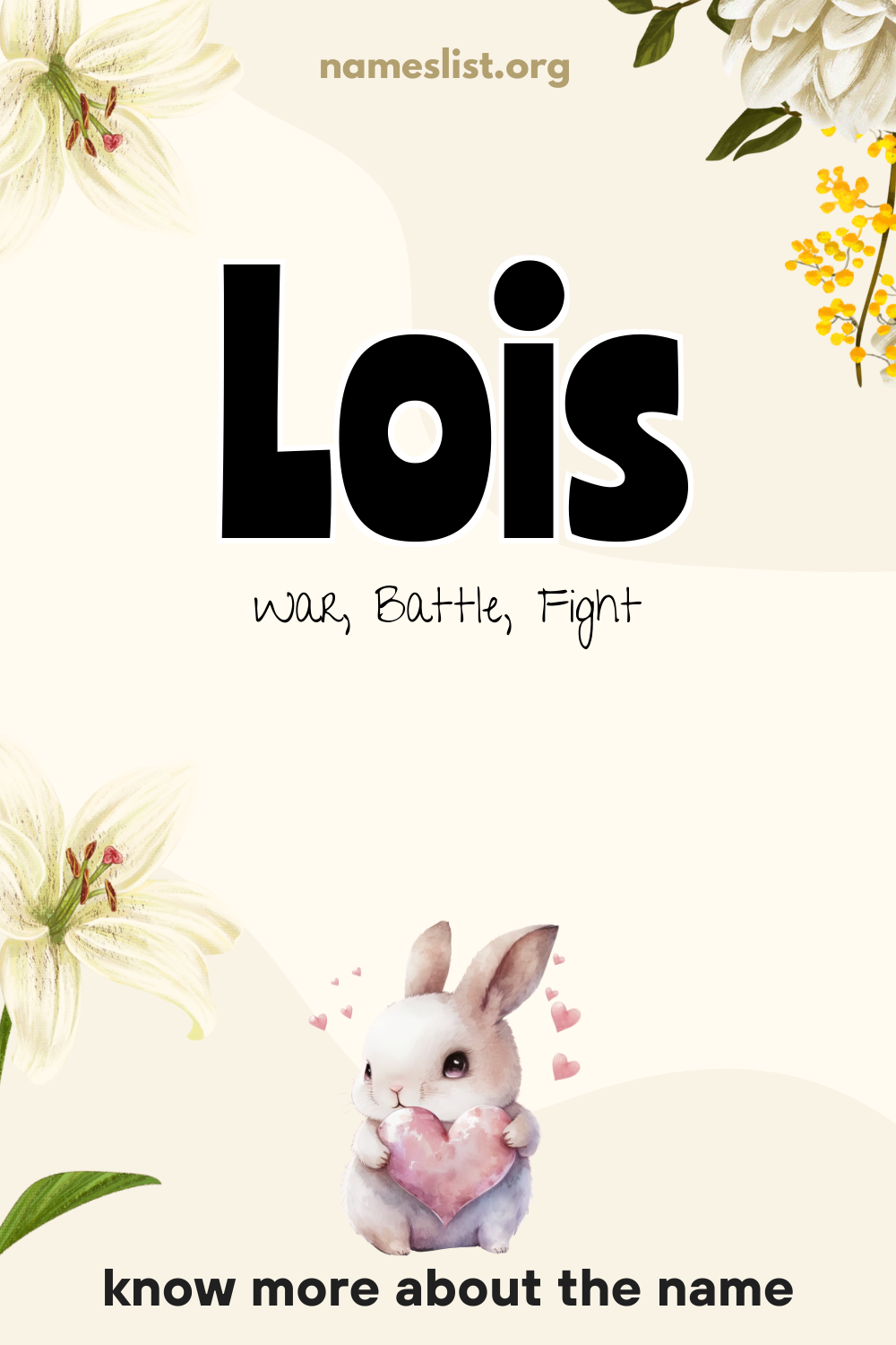 Lois meaning and origin