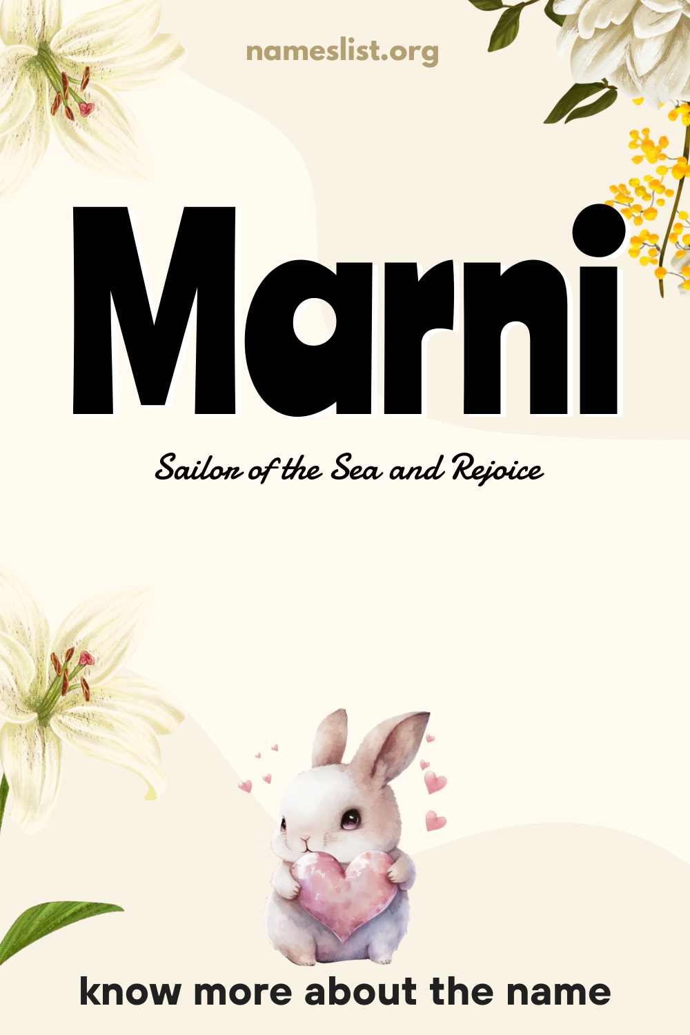 Marni meaning and origin