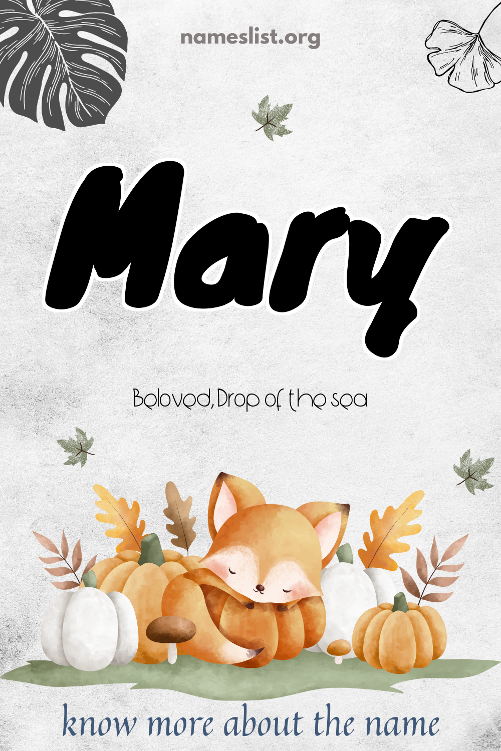 Mary meaning and origin