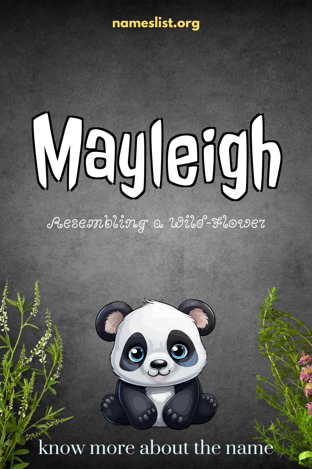 Mayleigh meaning and origin