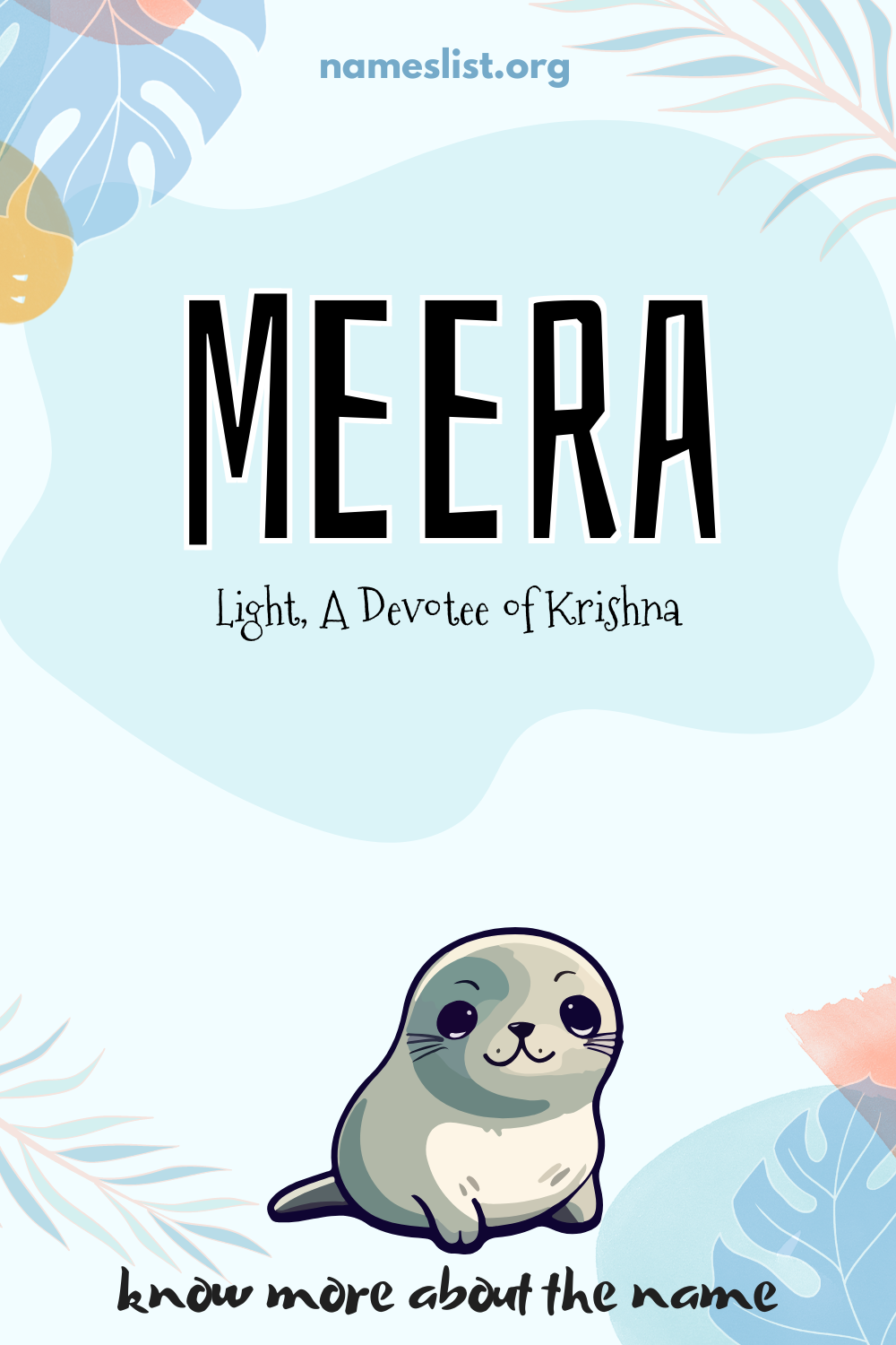 Meera meaning and origin