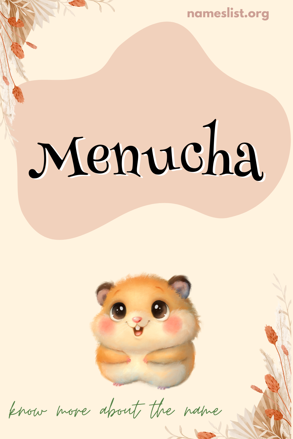 Menucha meaning and origin