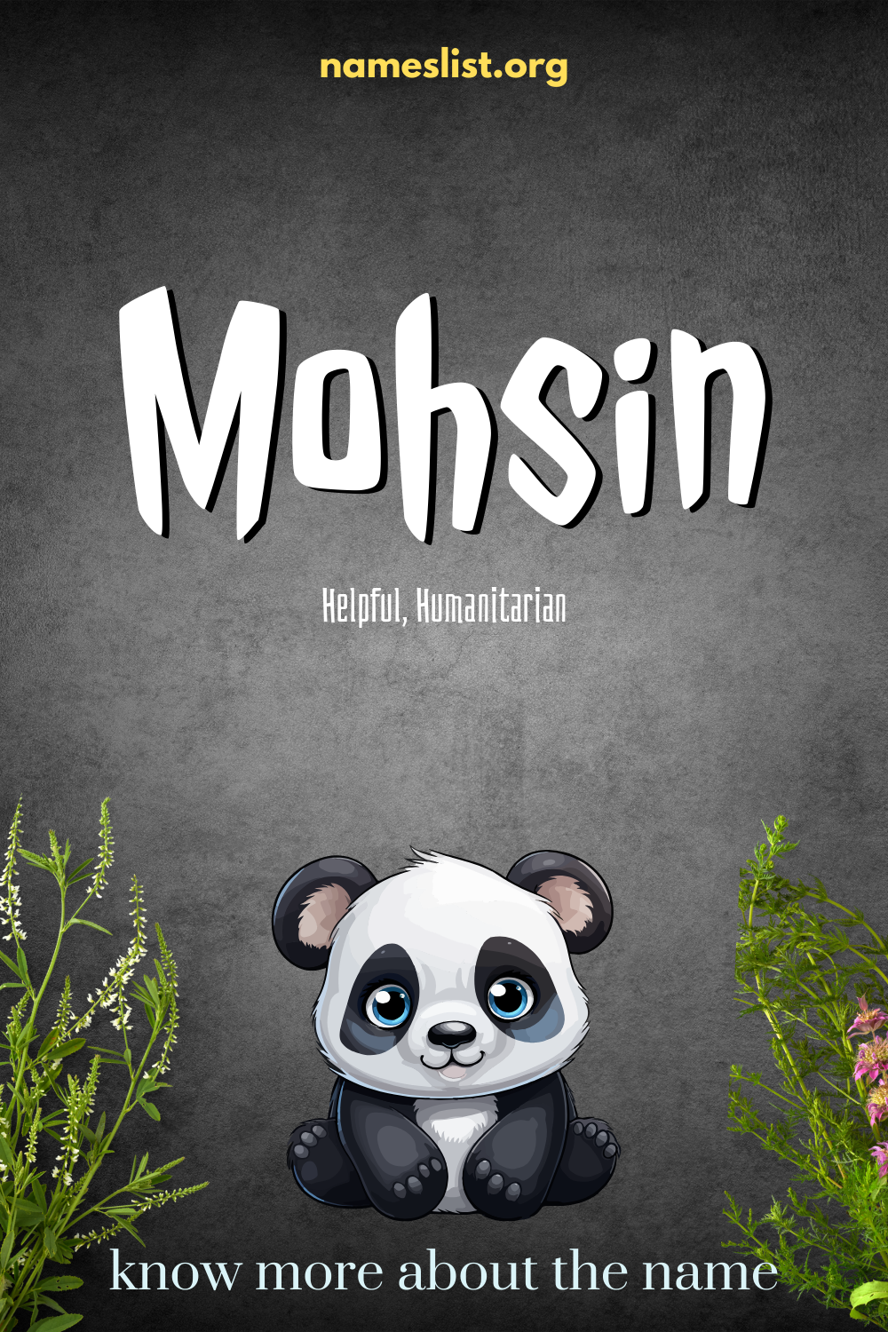 Mohsin meaning and origin