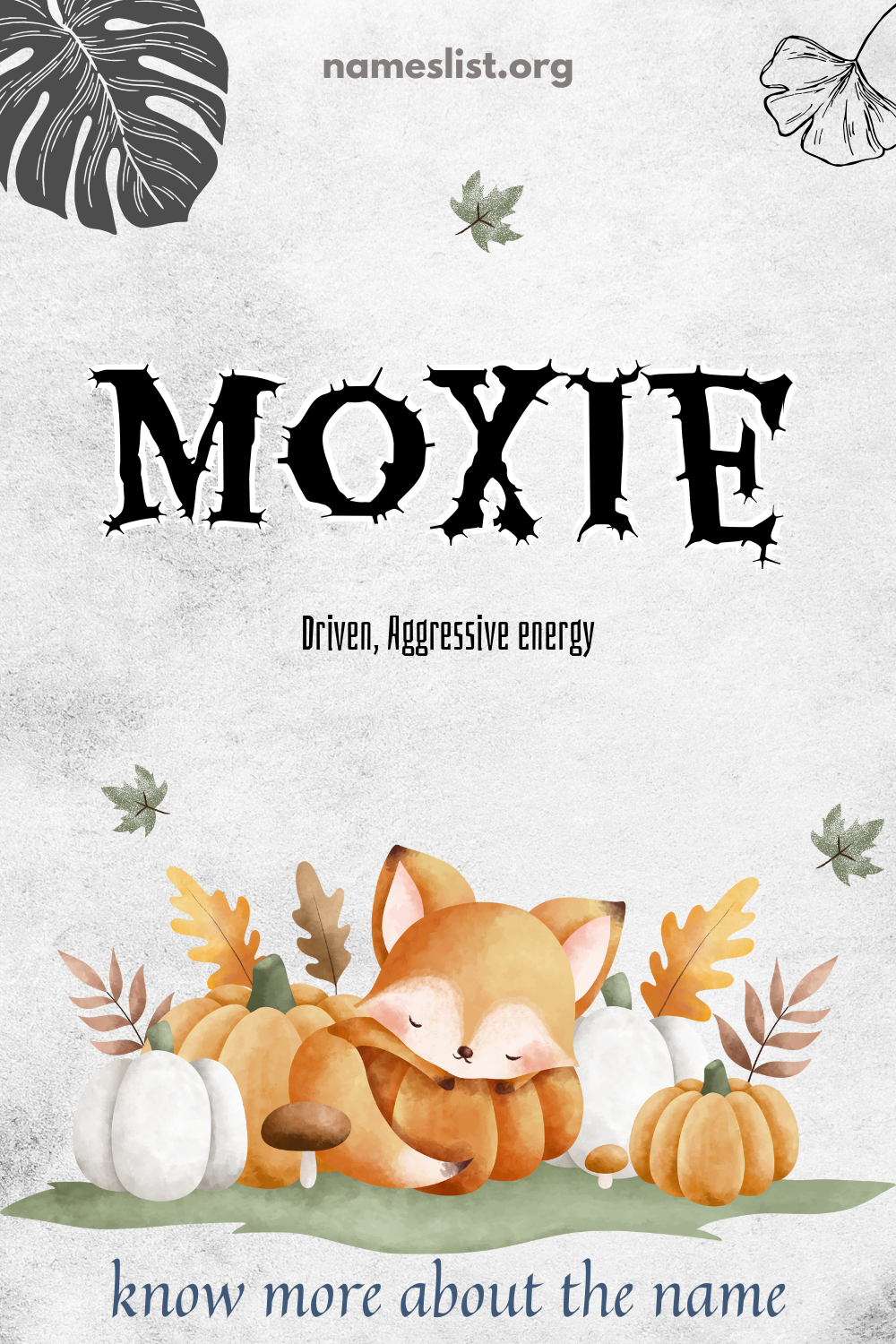Moxie meaning and origin