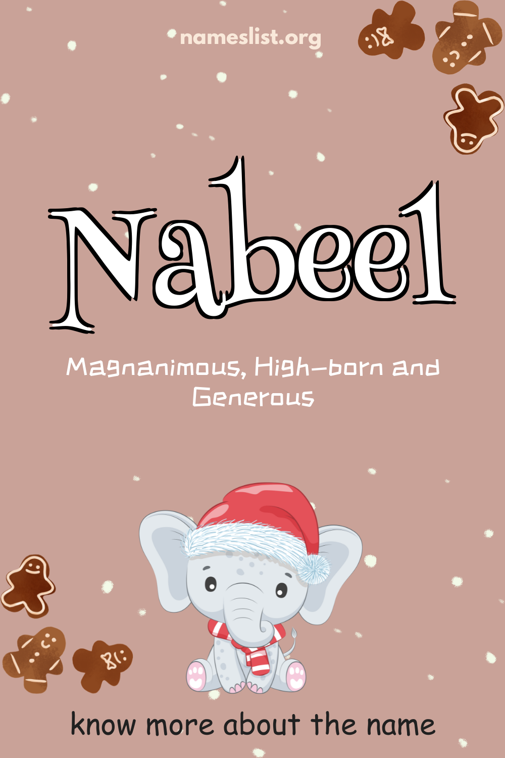 Nabeel meaning and origin
